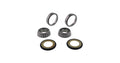 All Balls Racing 2019 Sherco SC-R 125 Steering Bearing Kit