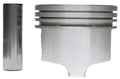 Mahle Engine Piston S224-1946