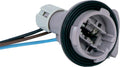 (S)SOCKET