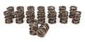 COMP Cams Valve Spring 1.575in Inter-Fit