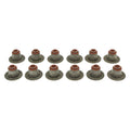 MAHLE Original Dodge Dakota 10-04 Eng Valve Steam Seat Set