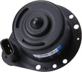 RAD FAN MOTOR
