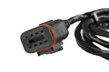 4Ft Harness Extension, MSD Atomic Tcm To Handheld MSD Ignition
