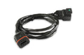 4Ft Harness Extension, MSD Atomic Tcm To Handheld MSD Ignition