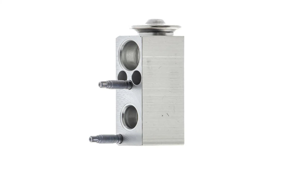 EXPANSION VALVE AND ORIFICE TUBE