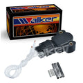 DELPHI auto part