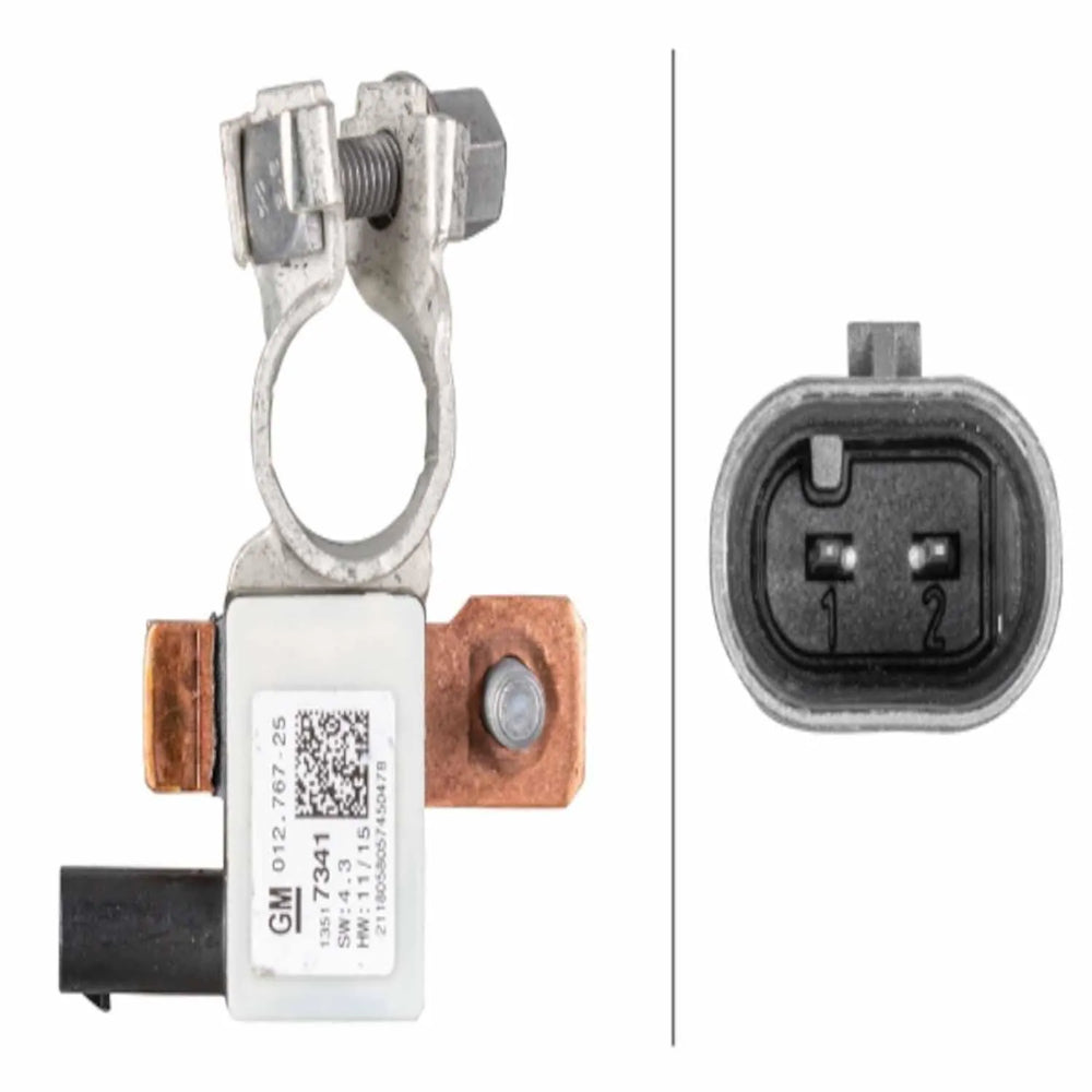 INTELLIGENT BATTERY SENSOR