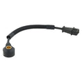 DELPHI auto part