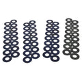 PAC RACING SPRINGS springs