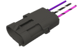 SHANK