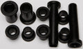 All Balls Racing Rear Ind. Suspension Kit