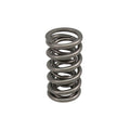COMP Cams 0.700in Max Lift Dual Valve Spring for GM LS7/LT1/LT4