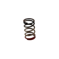 Turbosmart Gen-V WG40/45 HP 40 PSI Spring Upgrade - Black/Red