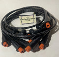 Spark Plug Wire Set