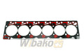 Dana auto part detail