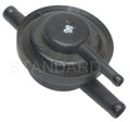 CANISTER