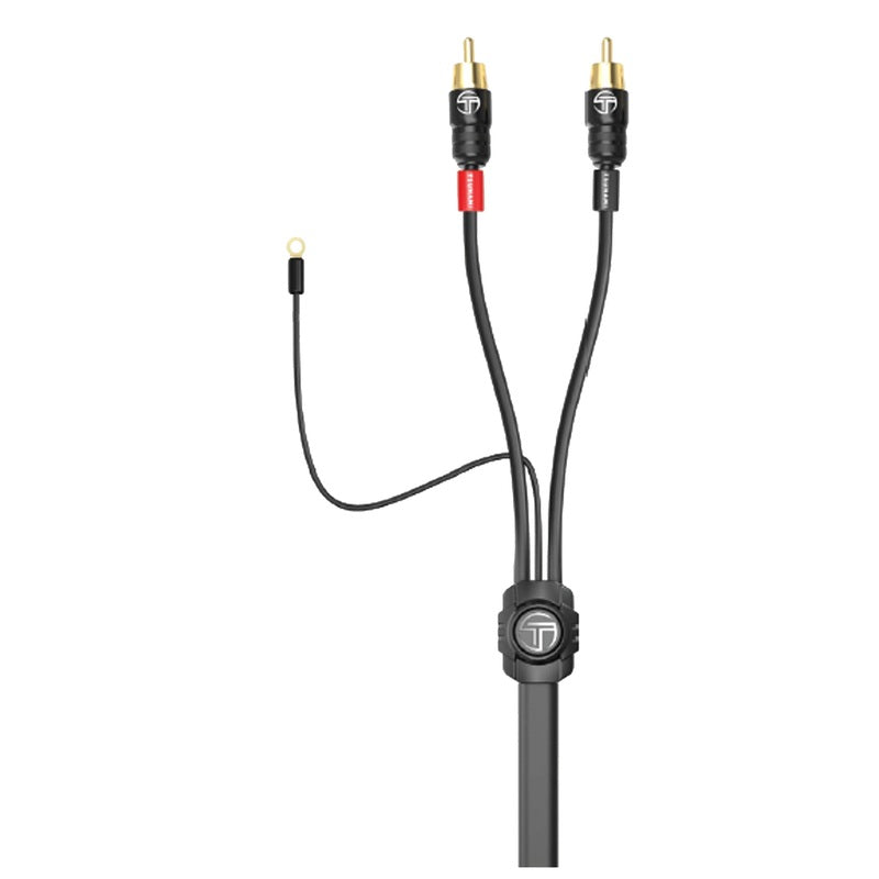 2 CHANNEL 21 FT RCA CABLE