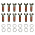 Wilwood Bolt Kit - 5/16-18 x 1.00 LG - 12 pk