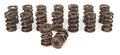 COMP Cams Valve Spring 1.650in Triple As
