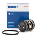 BEHR Engine Coolant Thermostat