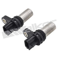 ENGINE CAMSHAFT POSITION SENSOR/ENG