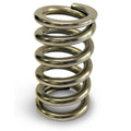 Calibrated Test Spring Medium 50-450lbs