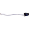 CARTER fuel pump
