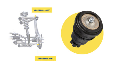 MOOG 95-02 Volkswagen Cabrio Front Lower Ball Joint