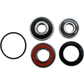Pivot Works 99-07 Honda VT125 SHADOW (Euro) Rear Wheel Bearing Kit