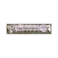 AMERICANAUTO muffler
