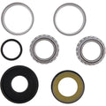 All Balls Racing 2024 Gas-Gas EC250/EC300/EC450F Steering Bearing Kit