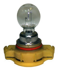 BULB PROGRAM