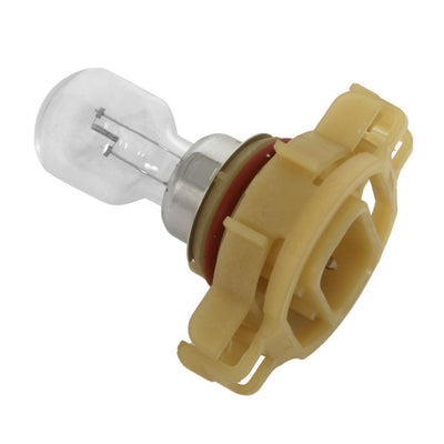 BULB PROGRAM