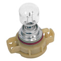 BULB PROGRAM