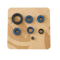 Athena 2000 Bombardier DS 650 Engine Oil Seal Kit