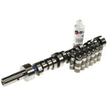 Oil Pump Chain