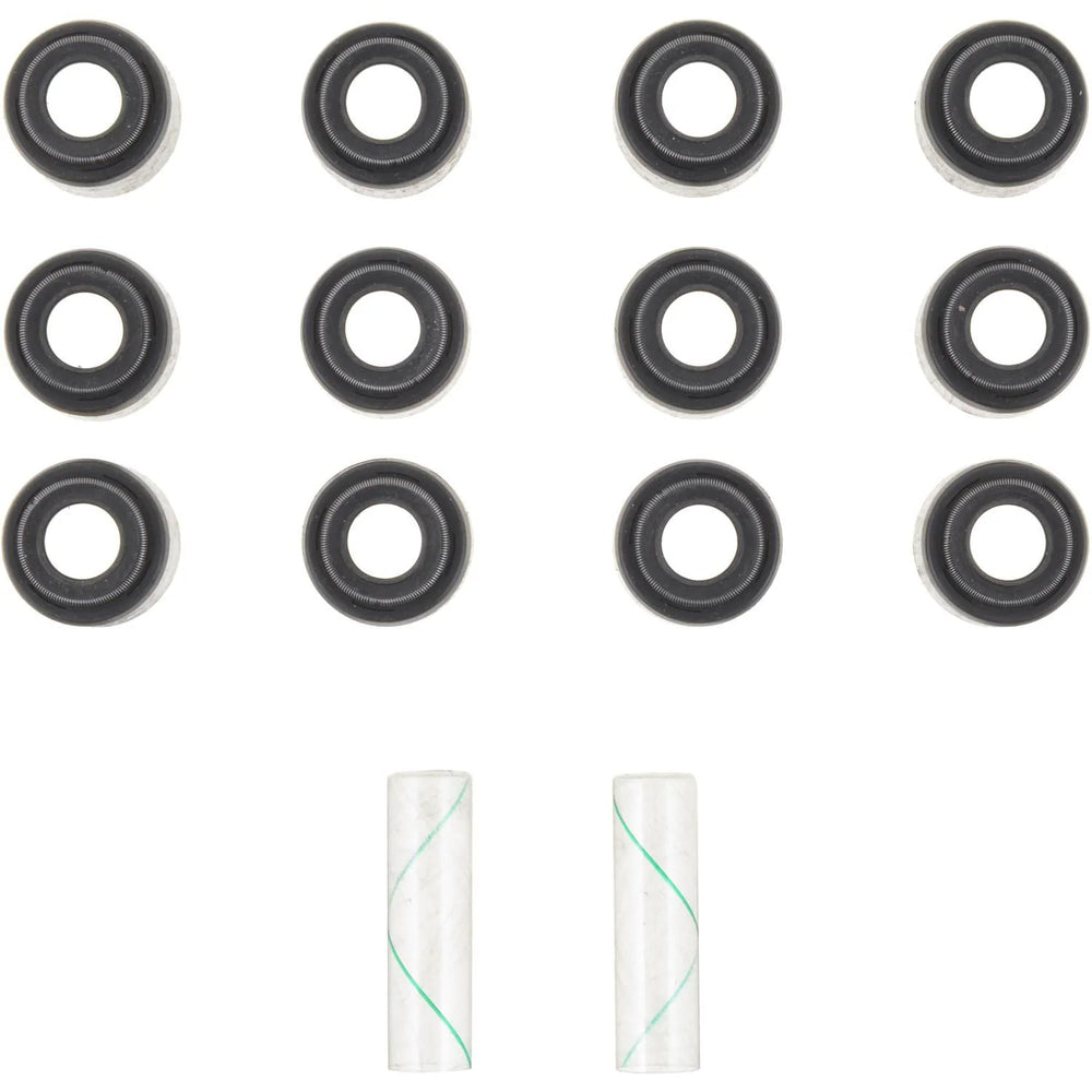 Engine Valve Stem Oil Seal Set - 12-10250-01