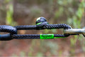3/8IN NEXGEN GATORJAW SYN SHACKLE BLUE/BLACK