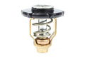 THERMOSTAT KIT