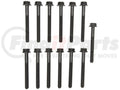 FORD TRK. 300 (4.9L) ENG. (199495) CYLINDER HEAD BOLTS