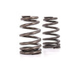 VALVE SPRING, BEEHIVE