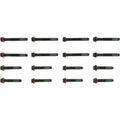 HEAD BOLT SET