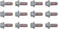 DIFFERENTIAL COVER BOLT 12 PACK JEE