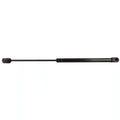 SS 8MM EXT 20" CMP 12