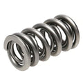 PAC RACING SPRINGS springs