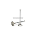 Supertech BMW M3 S54 Inconel Exhaust Valve - Single