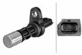 SENSOR CRANKSHAFT PULSE