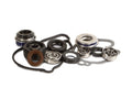Hot Rods 07-21 Honda TRX 420 FE 420cc Water Pump Kit