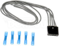 PIGTAIL OR SOCKET