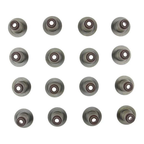Engine Valve Stem Oil Seal Set - 12-10030-01